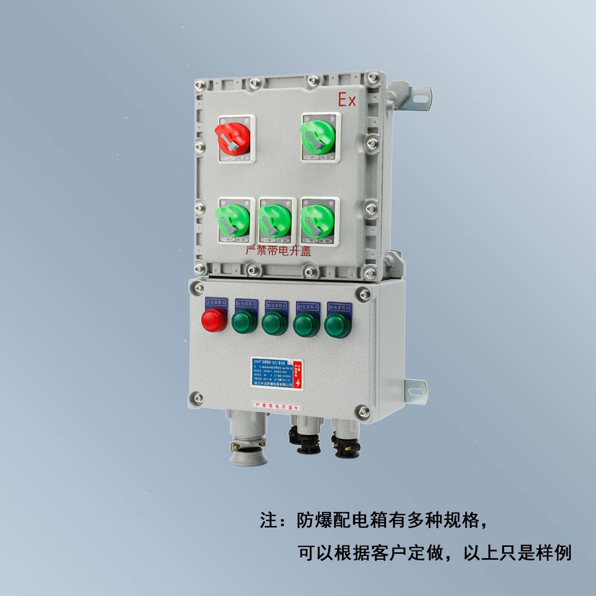 BXM(D)58 系列防爆照明(動力)配電箱 (ⅡB、ⅡC、DIP)